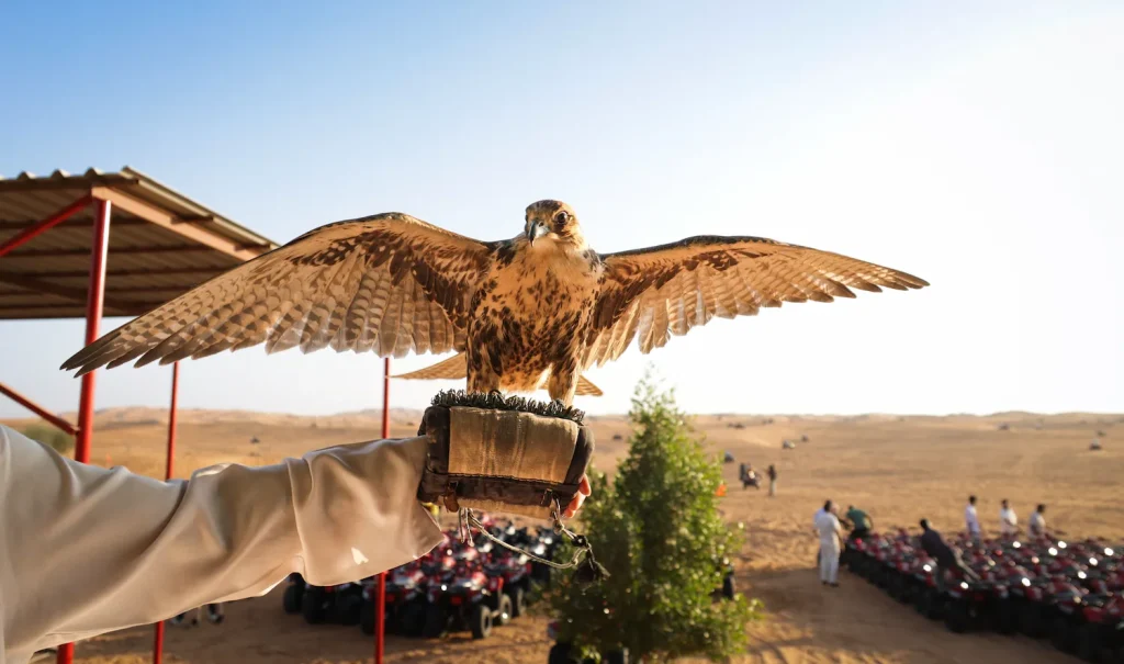 Détente et art de vivre à Doha